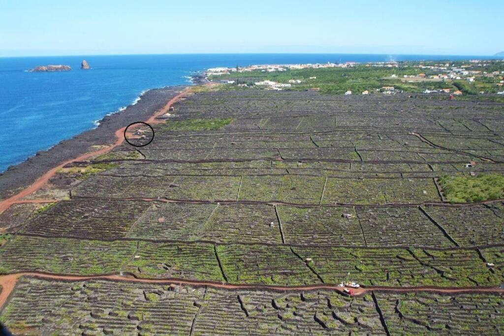 Criacao Velha Ocean View In Unesco Heritage Site מראה חיצוני תמונה
